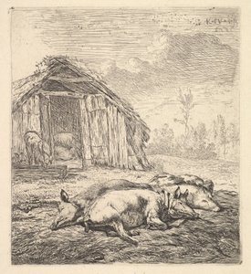 Tři prasata ležící na boku, chlívek a koryto za ním, 1652.