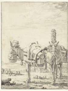 Dva mezci od Karel Du Jardin