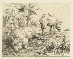 dva kanci od Karel Du Jardin