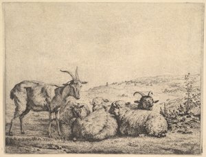 Dvě kozy a tři ovce, 1655. od Karel Du Jardin