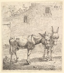Dva osli stojící na travnatém dvoře, jeden v pohledu z profilu vpravo a druhý za..., 1652.