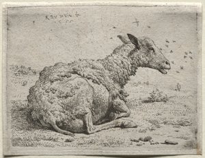Ovce a mouchy od Karel Dujardin