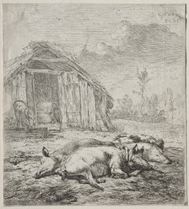 Tři svině ležící před chlívem od Karel Dujardin