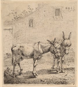 Dva osli