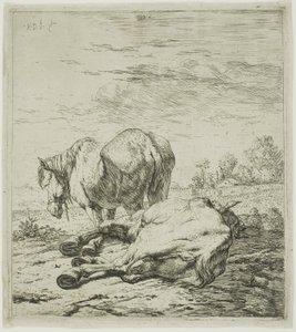 Dva koně od Karel Dujardin