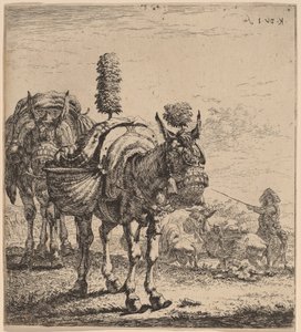 Dva mezci od Karel Dujardin