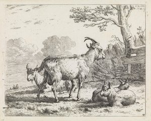  od Karel Dujardin