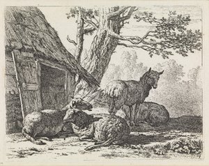  od Karel Dujardin