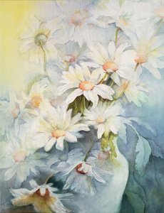 Chryzantéma, Snowcap od Karen Armitage