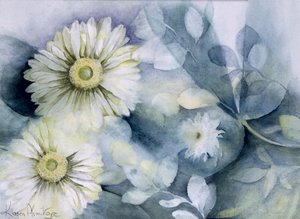 Gerbera Jamemura Dobrá od Karen Armitage