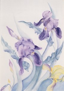 Iris, modrá klisna od Karen Armitage