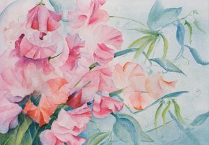 Lathyrus Odoratus, sladký hrášek (horizontální) od Karen Armitage