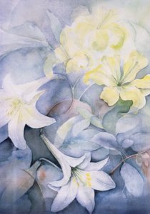 Lilium, Hearts Desire a Imperiale