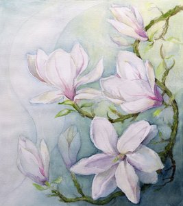 Magnolie (wc) od Karen Armitage