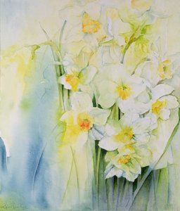 Narcisy a frézie od Karen Armitage