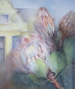 Protea ve Stellenboschi, 1992 (wc) od Karen Armitage