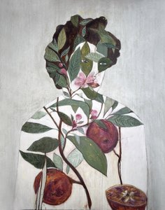 Botanická ilustrace s pomeranči od Karenina Fabrizzi