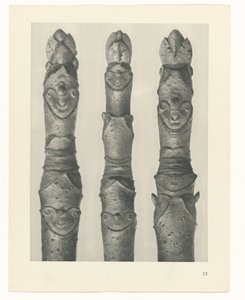plánovat studii Archetypy umění (název série) od Karl Blossfeldt