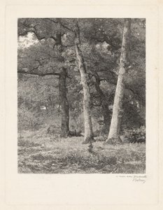 Lesní mýtina od Karl Bodmer