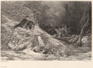 Chráněné před mrazem. od Karl Bodmer