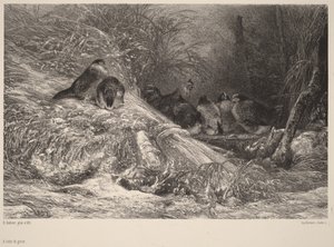 V úkrytu před mrazem od Karl Bodmer