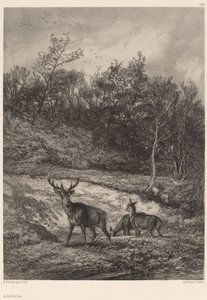 Na okraji vody od Karl Bodmer