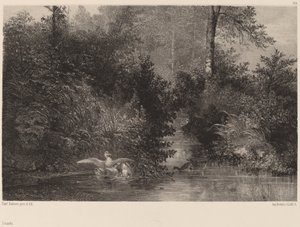 Kachny, 18611866. od Karl Bodmer