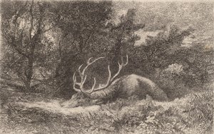 Jelen a la Reposee. od Karl Bodmer