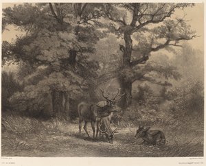 Jelen v Gagnage. od Karl Bodmer