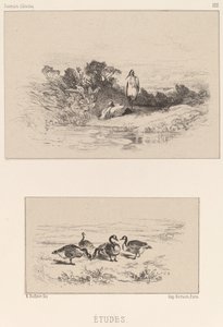 Studie od Karl Bodmer