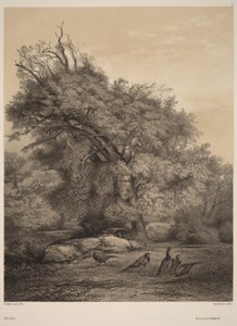Bažanti od Karl Bodmer