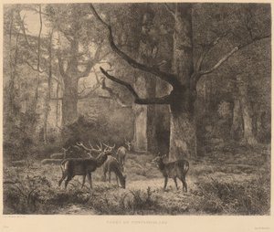 Les Fontainebleau od Karl Bodmer