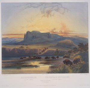 Stádo bizonů na horním toku Missouri od Karl Bodmer