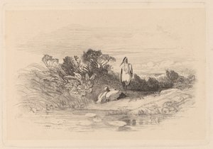 Volavky od Karl Bodmer