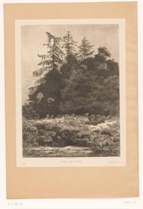 Jelen na okraji lesa Daims dans un parc (název na objektu) od Karl Bodmer