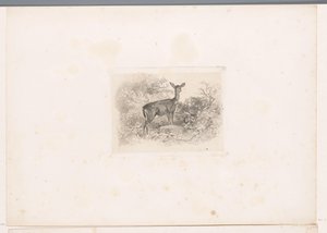 Hindu v lese Krajiny se zvířaty (název série) od Karl Bodmer