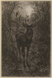 Hubertův jelen od Karl Bodmer