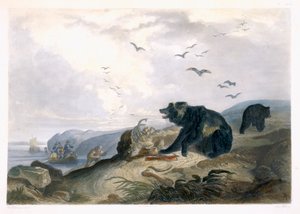 Lov medvěda grizzlyho, deska 36 ze svazku 2 knihy „Cesty ve vnitrozemí Severní Ameriky“, vyryl Lucas Weber, 1844 (akvatinta) od Karl Bodmer