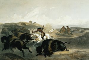 Indiáni lovící bizony, deska 31 ze svazku 2 „Cesty ve vnitrozemí Severní Ameriky“, vyryl Carl Vogel (1816-51) 1844 (akvatinta)