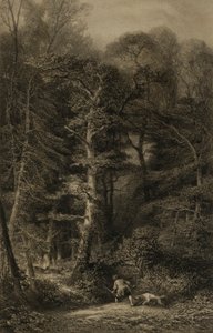 Interiér lesa od Karl Bodmer