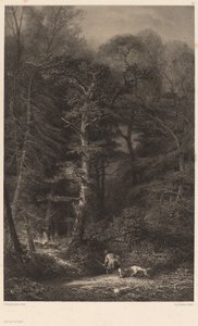 Interiér lesa. od Karl Bodmer