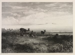 Krajina s jeleny, c. 1840. od Karl Bodmer