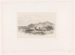 Krajina se dvěma jeleny běloocasými Krajiny se zvířaty (název série) od Karl Bodmer