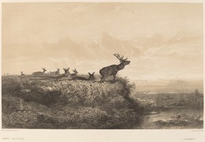 Ráno. od Karl Bodmer