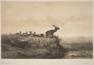 Ráno od Karl Bodmer