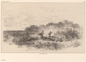 Odpočinek. od Karl Bodmer