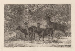 stádo od Karl Bodmer