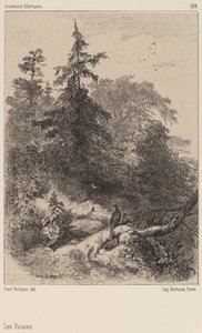 Bažanti od Karl Bodmer
