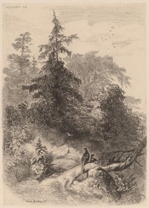 Bažanti od Karl Bodmer