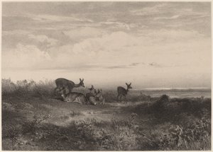 Zadní. od Karl Bodmer